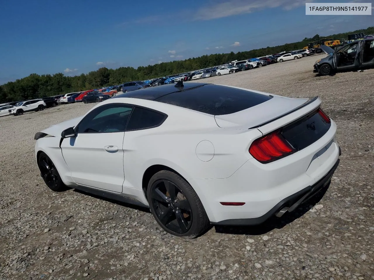 2022 Ford Mustang VIN: 1FA6P8TH9N5141977 Lot: 73731104