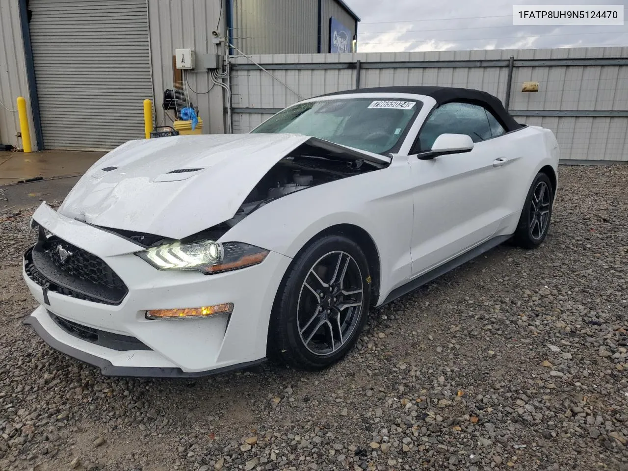 2022 Ford Mustang VIN: 1FATP8UH9N5124470 Lot: 79655024