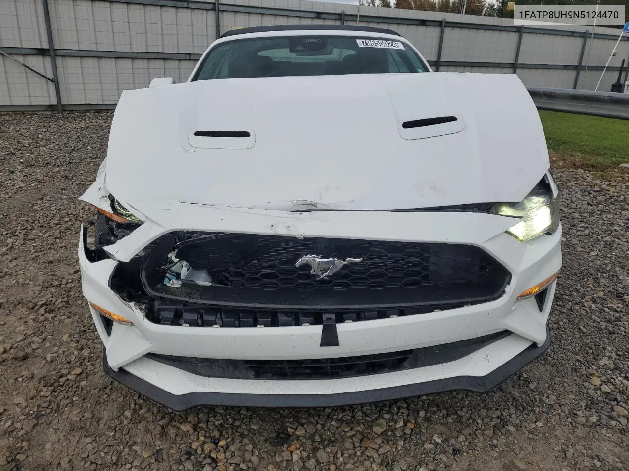 2022 Ford Mustang VIN: 1FATP8UH9N5124470 Lot: 79655024