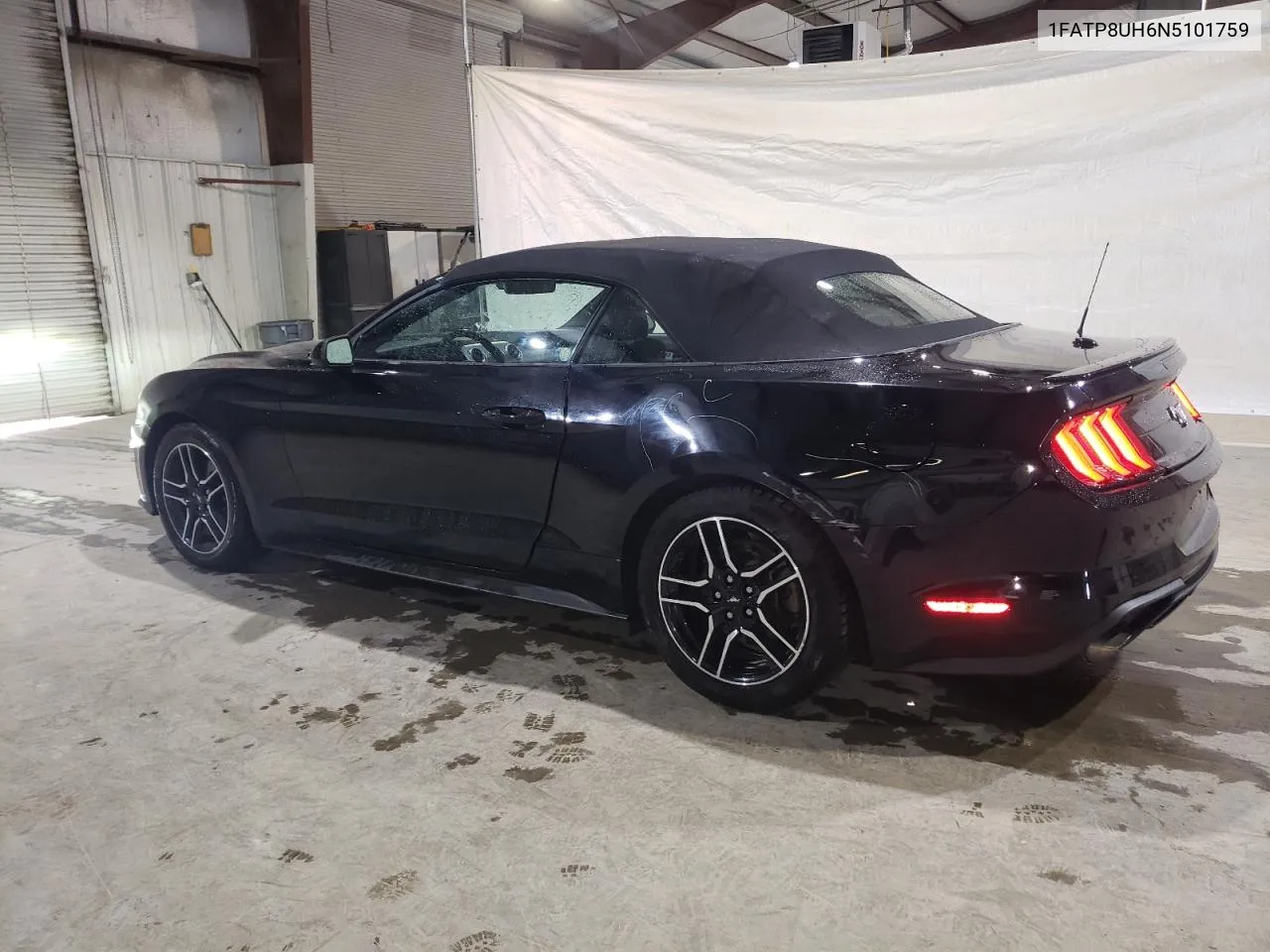 2022 Ford Mustang VIN: 1FATP8UH6N5101759 Lot: 81248484