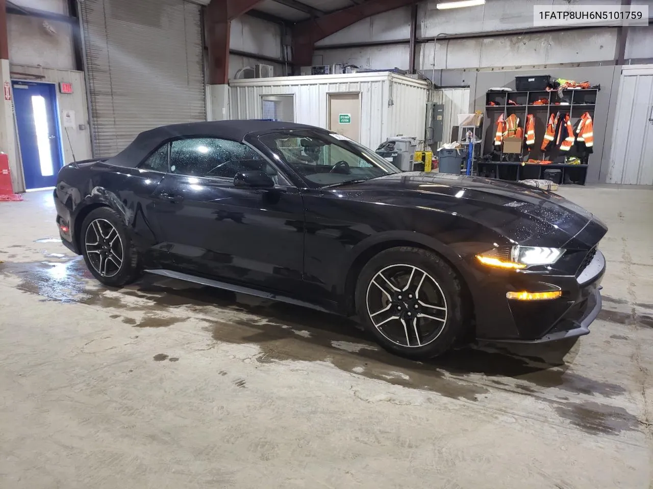 2022 Ford Mustang VIN: 1FATP8UH6N5101759 Lot: 81248484