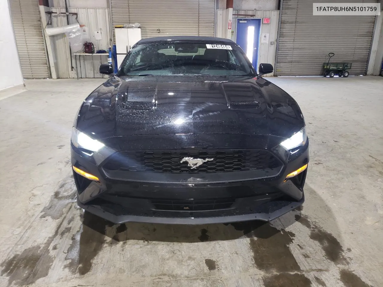 2022 Ford Mustang VIN: 1FATP8UH6N5101759 Lot: 81248484