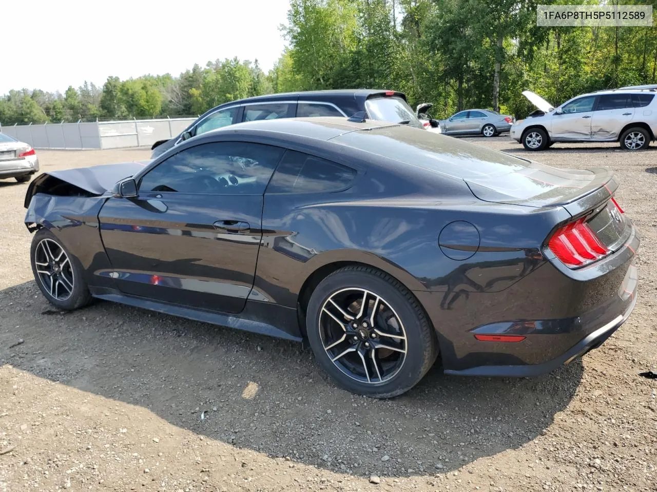 2023 Ford Mustang VIN: 1FA6P8TH5P5112589 Lot: 62189794