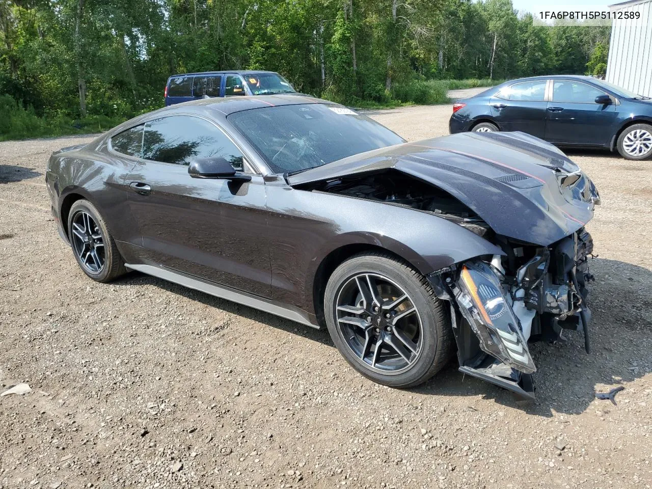 2023 Ford Mustang VIN: 1FA6P8TH5P5112589 Lot: 62189794