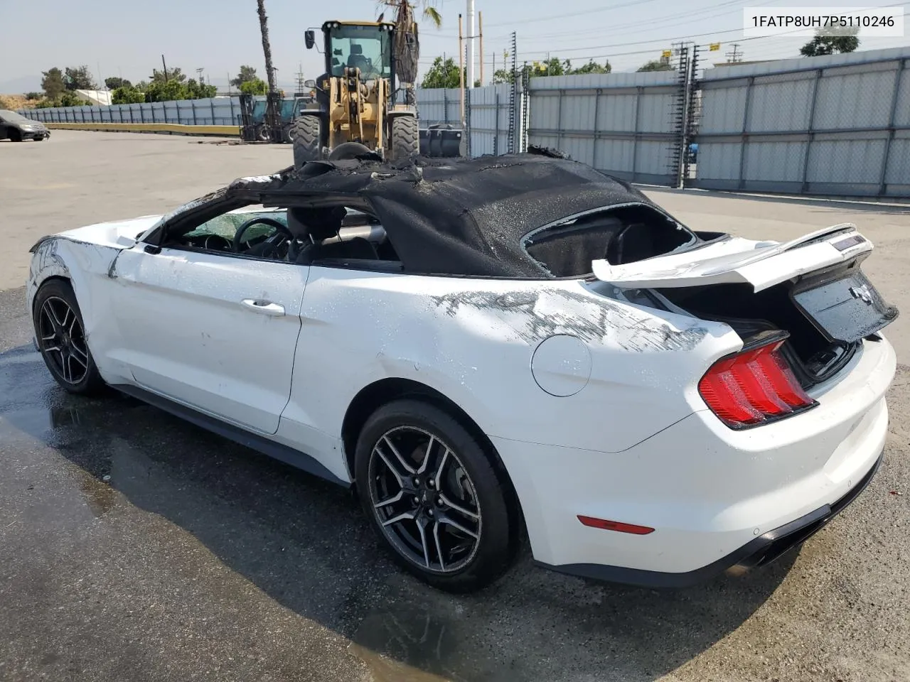 2023 Ford Mustang VIN: 1FATP8UH7P5110246 Lot: 62941904