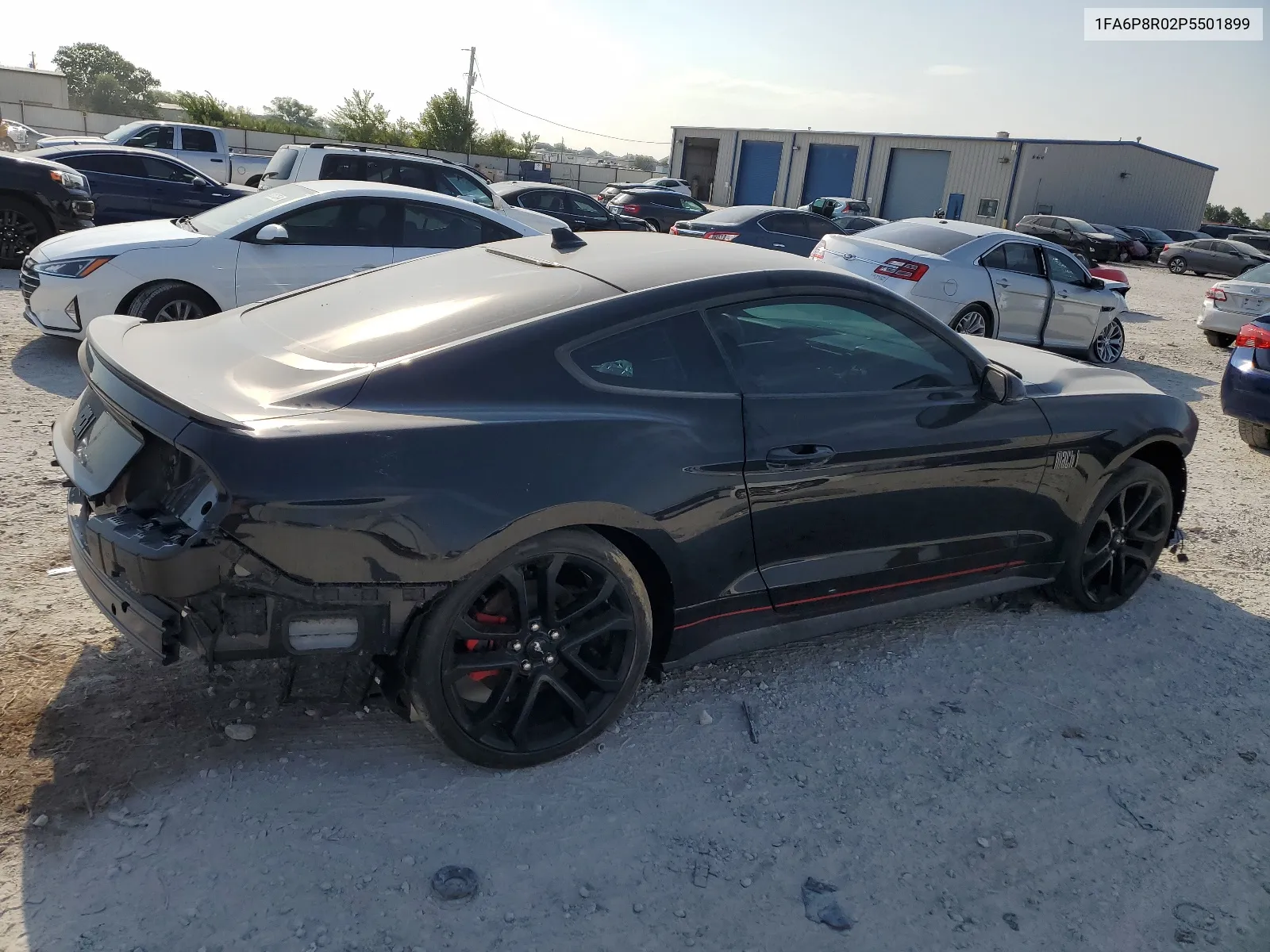 2023 Ford Mustang Mach I VIN: 1FA6P8R02P5501899 Lot: 66252904