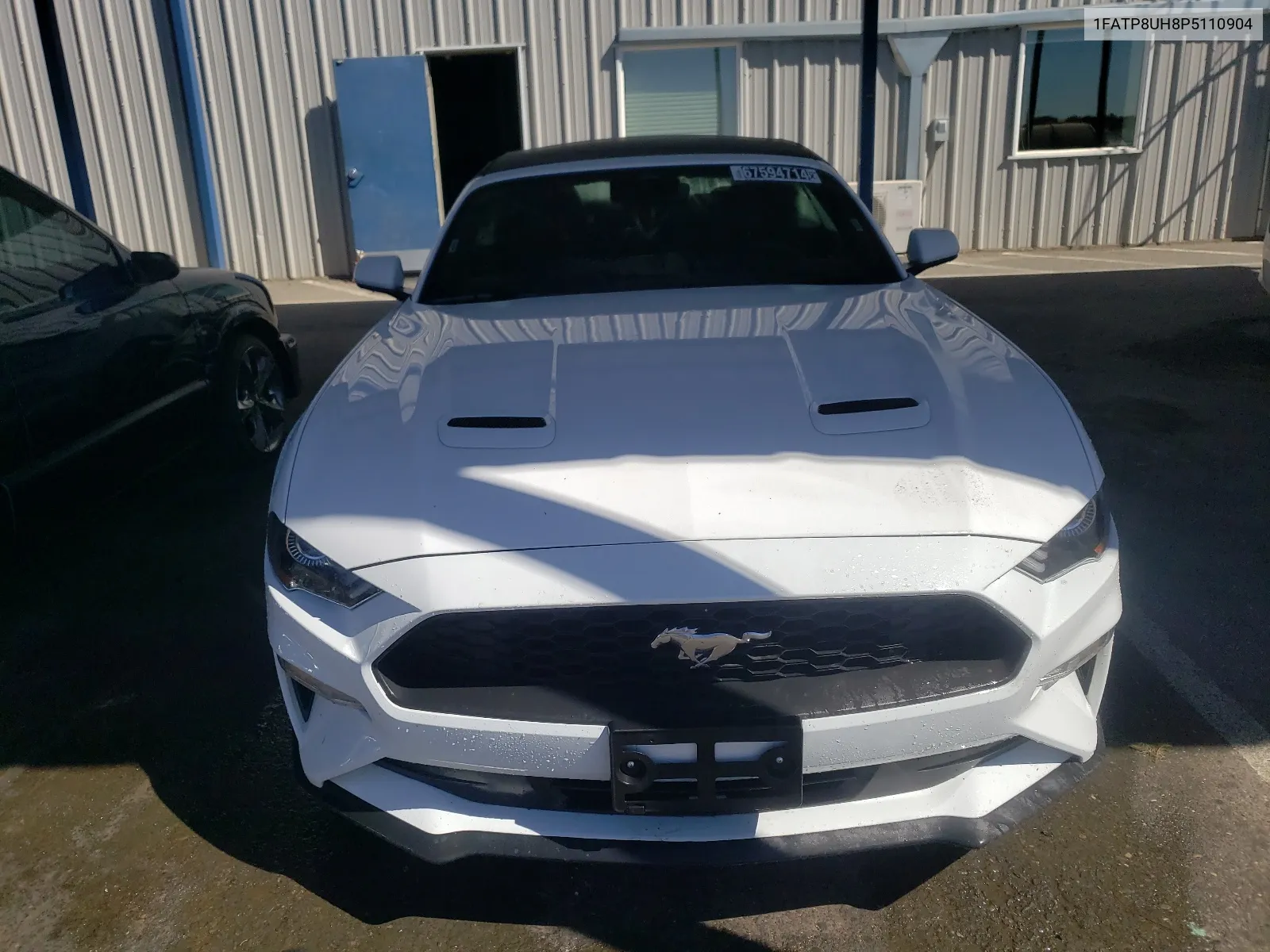 1FATP8UH8P5110904 2023 Ford Mustang