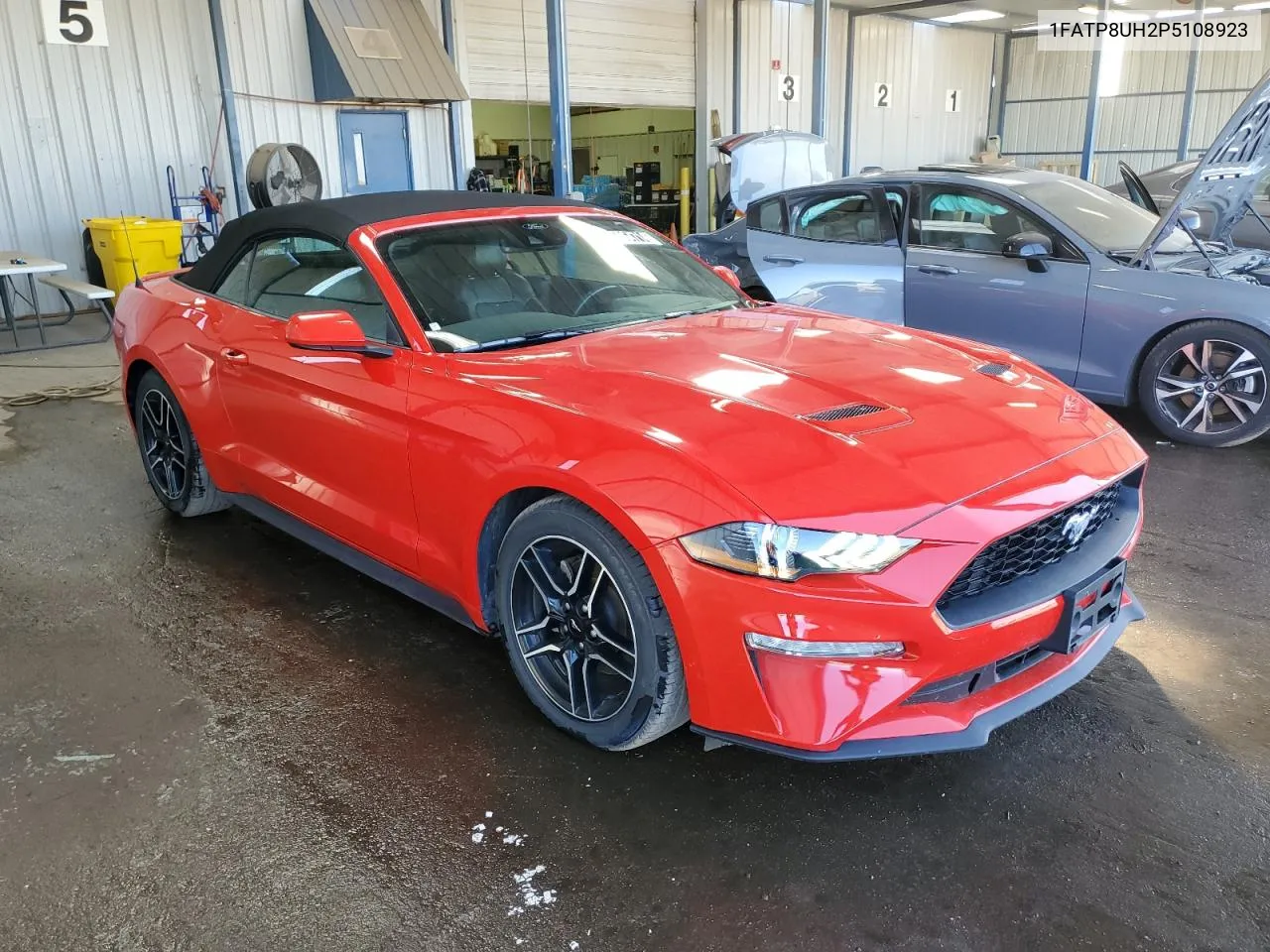 2023 Ford Mustang VIN: 1FATP8UH2P5108923 Lot: 75064714