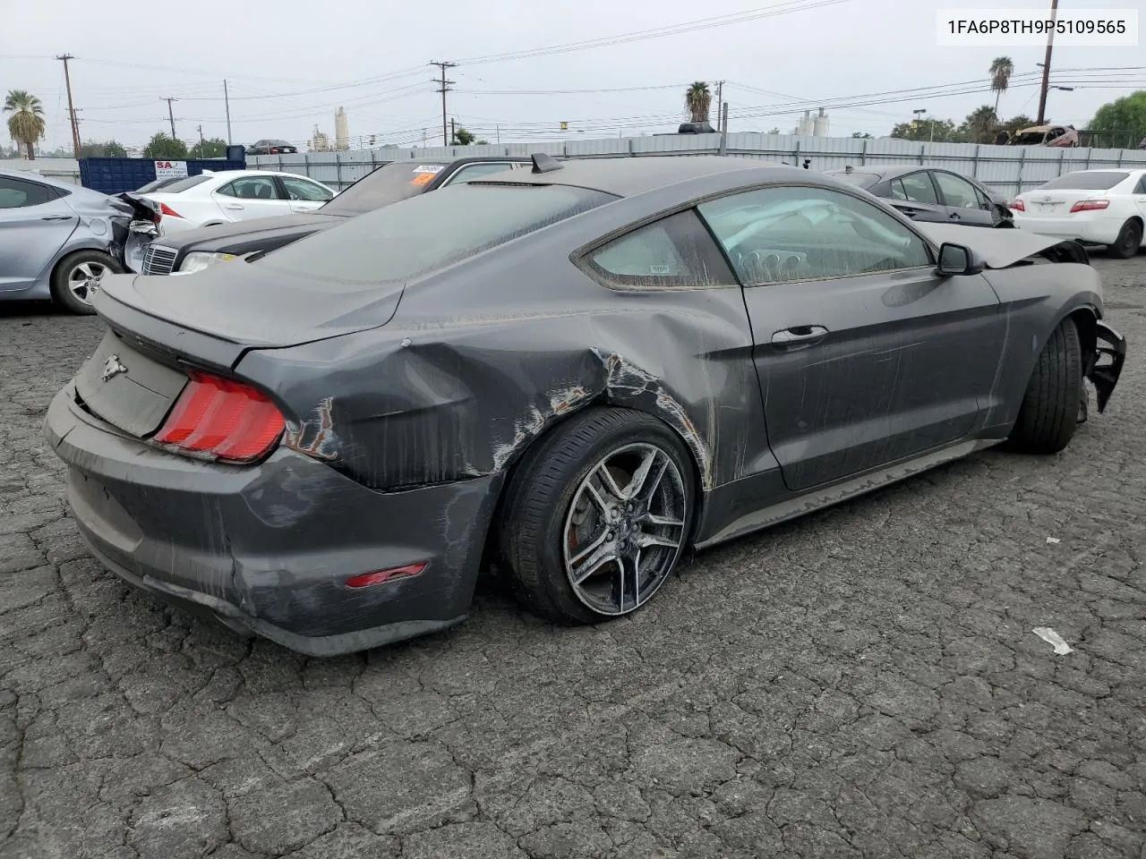 2023 Ford Mustang VIN: 1FA6P8TH9P5109565 Lot: 75928594