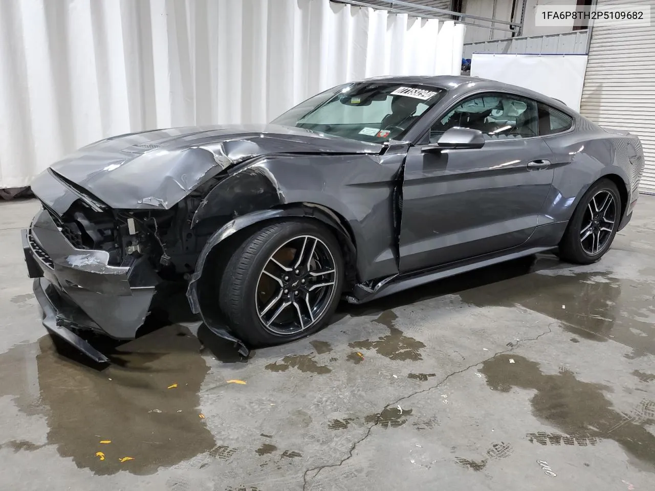 2023 Ford Mustang VIN: 1FA6P8TH2P5109682 Lot: 77153294