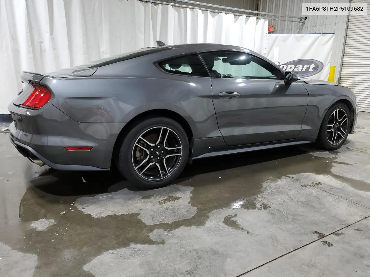 2023 Ford Mustang VIN: 1FA6P8TH2P5109682 Lot: 77153294