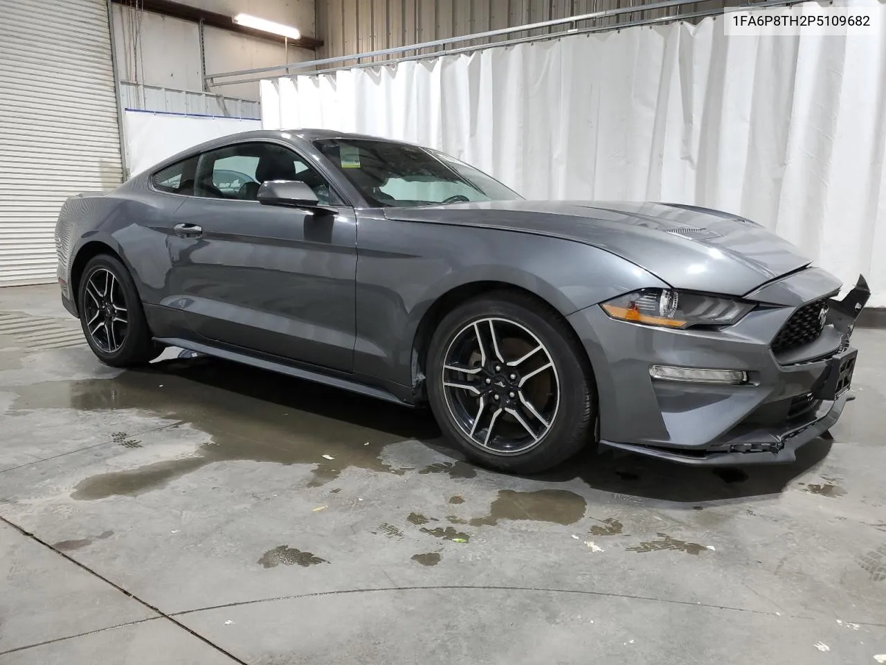 2023 Ford Mustang VIN: 1FA6P8TH2P5109682 Lot: 77153294