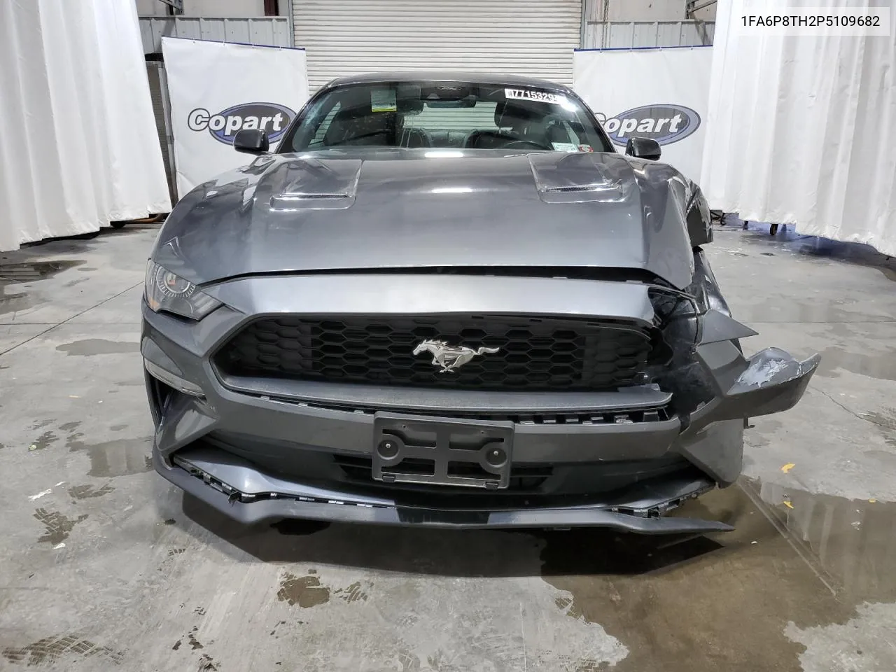 2023 Ford Mustang VIN: 1FA6P8TH2P5109682 Lot: 77153294