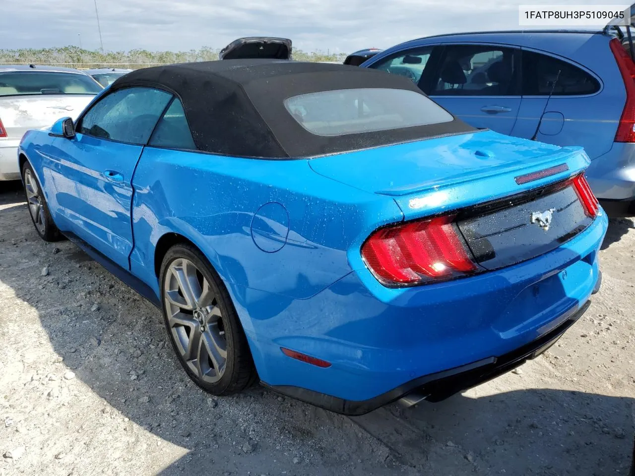 2023 Ford Mustang VIN: 1FATP8UH3P5109045 Lot: 77843824