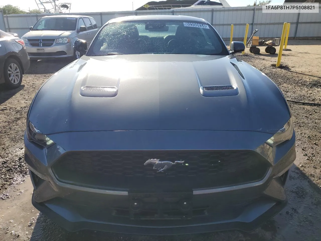 2023 Ford Mustang VIN: 1FA6P8TH7P5108821 Lot: 80350834