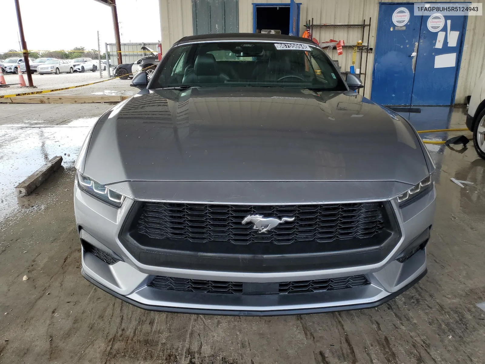 2024 Ford Mustang VIN: 1FAGP8UH5R5124943 Lot: 66755094