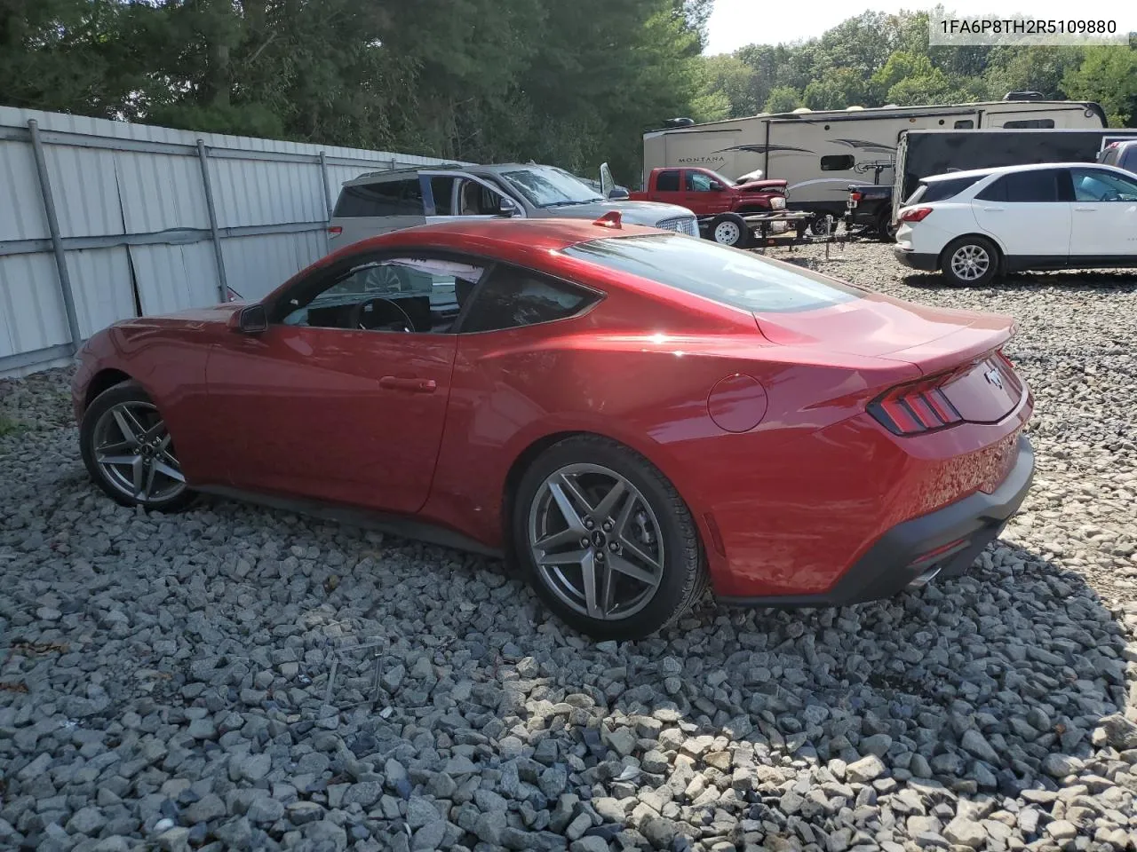 2024 Ford Mustang VIN: 1FA6P8TH2R5109880 Lot: 68882294