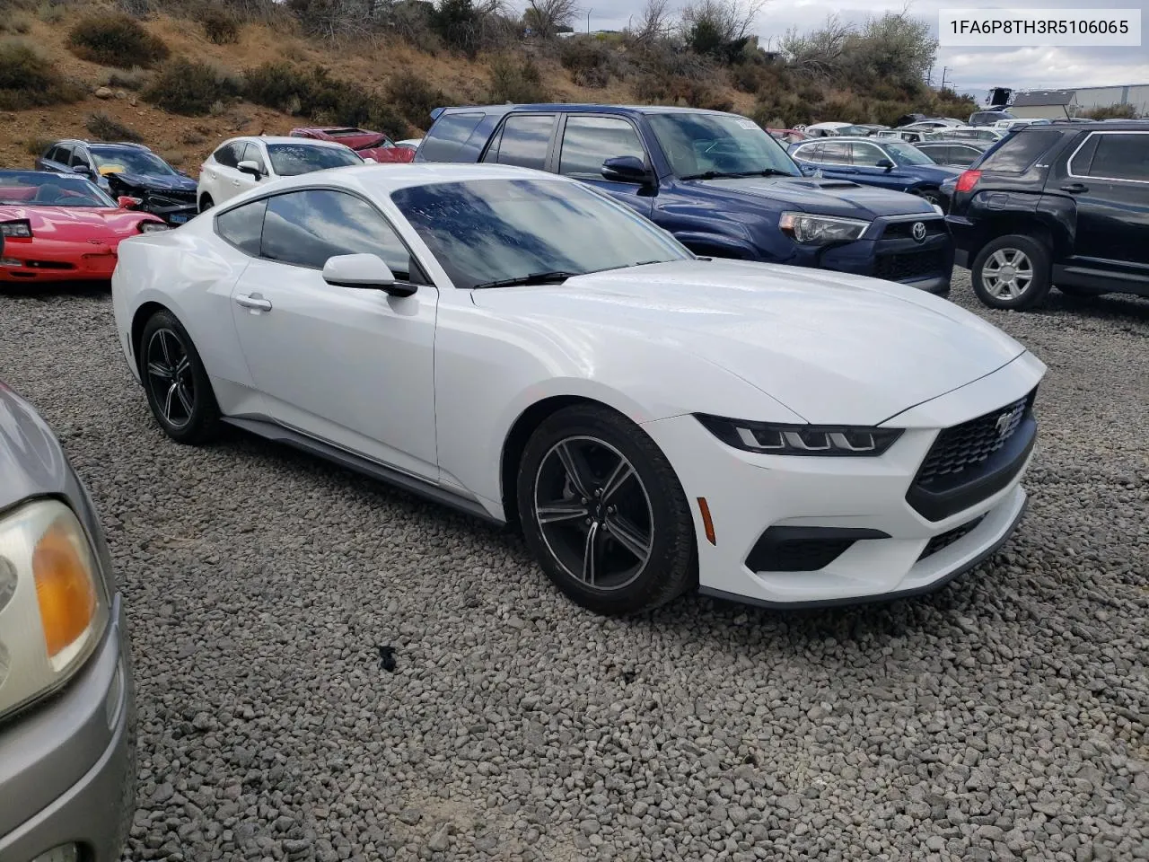 2024 Ford Mustang VIN: 1FA6P8TH3R5106065 Lot: 71776714