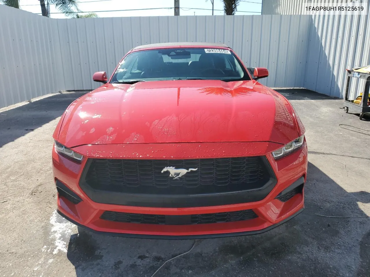 1FAGP8UH1R5125619 2024 Ford Mustang