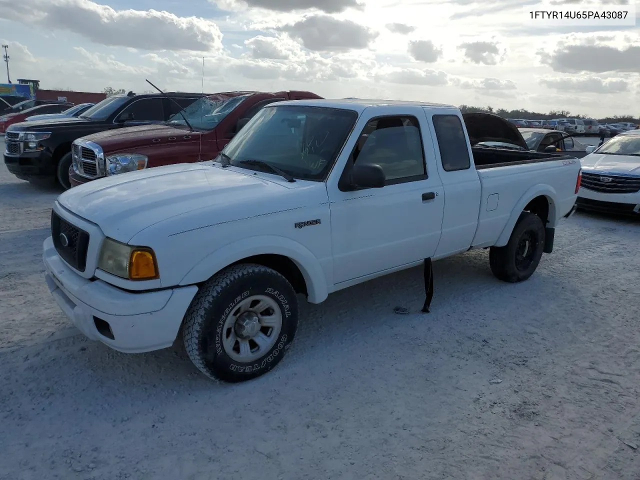 2005 Ford Ranger Super Cab VIN: 1FTYR14U65PA43087 Lot: 77243464