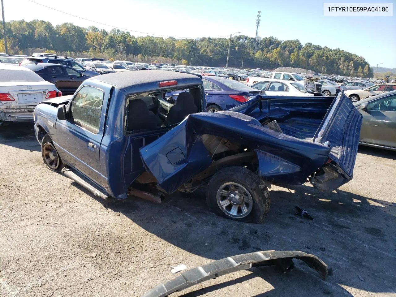 2009 Ford Ranger VIN: 1FTYR10E59PA04186 Lot: 76762414