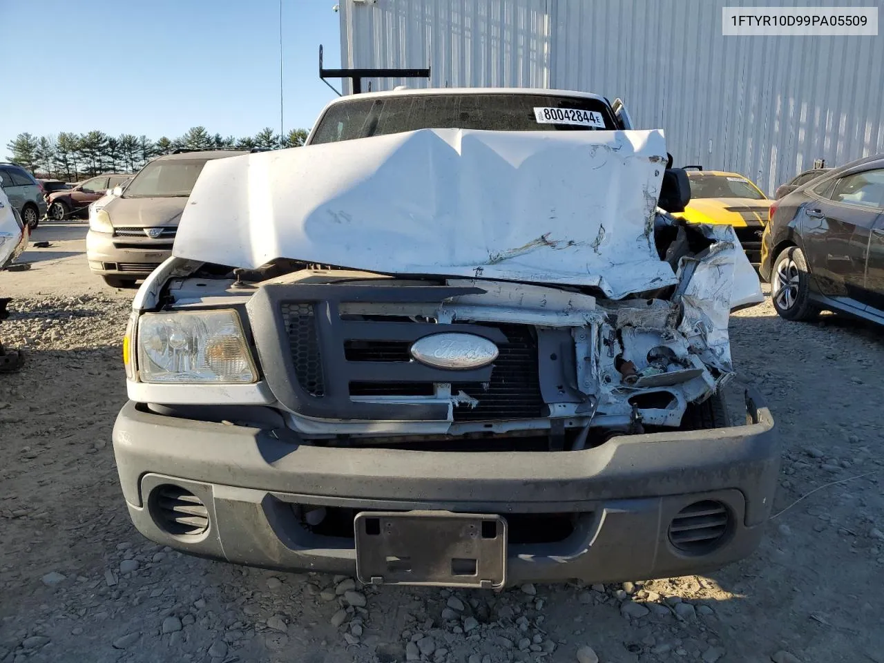 2009 Ford Ranger VIN: 1FTYR10D99PA05509 Lot: 80042844