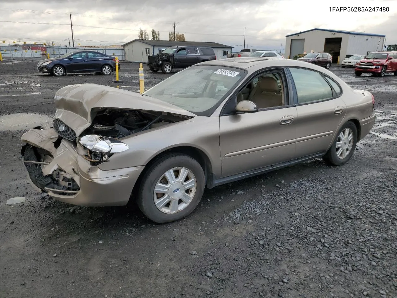 2005 Ford Taurus Sel VIN: 1FAFP56285A247480 Lot: 79316134