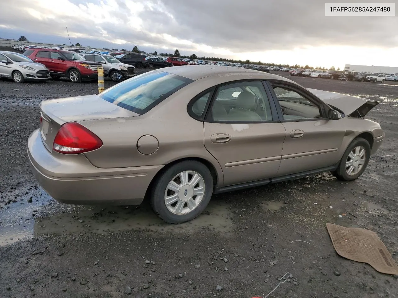 2005 Ford Taurus Sel VIN: 1FAFP56285A247480 Lot: 79316134