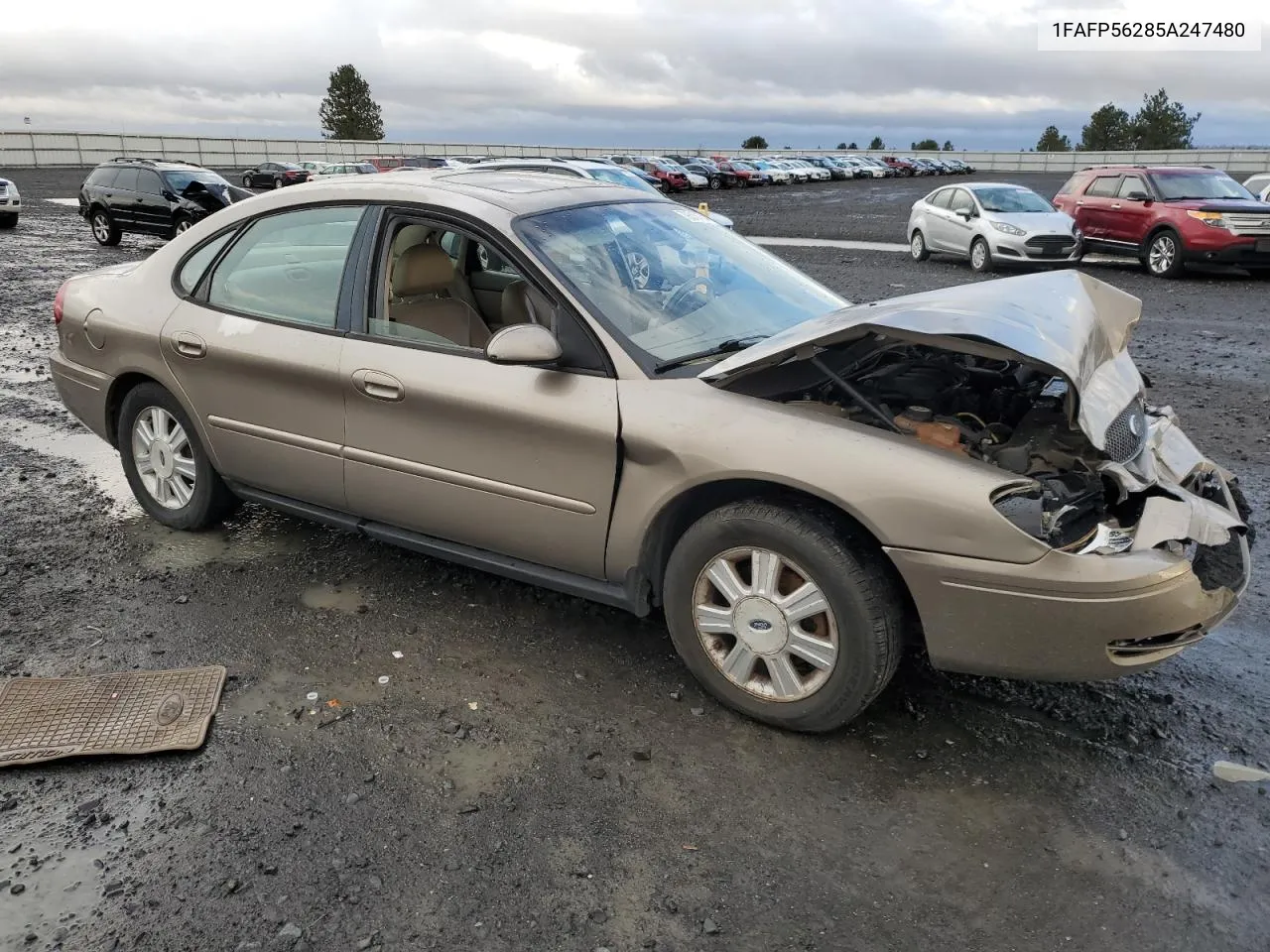 2005 Ford Taurus Sel VIN: 1FAFP56285A247480 Lot: 79316134