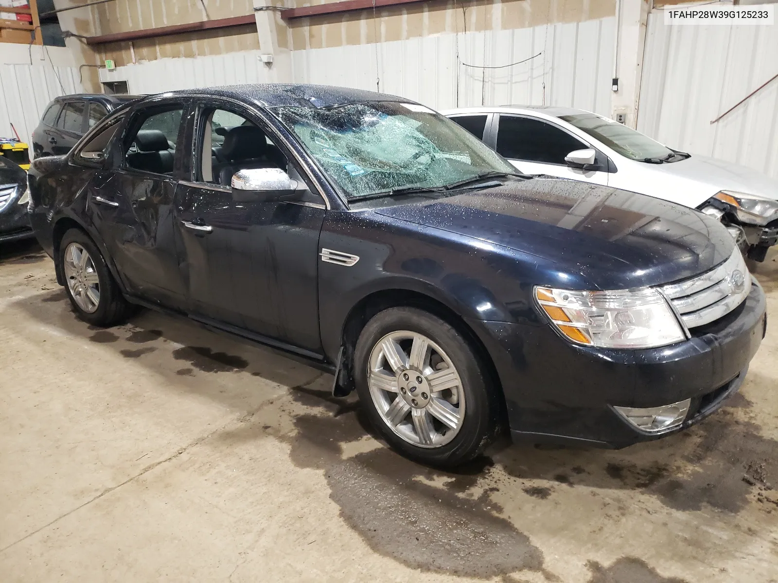 2009 Ford Taurus Limited VIN: 1FAHP28W39G125233 Lot: 66432174