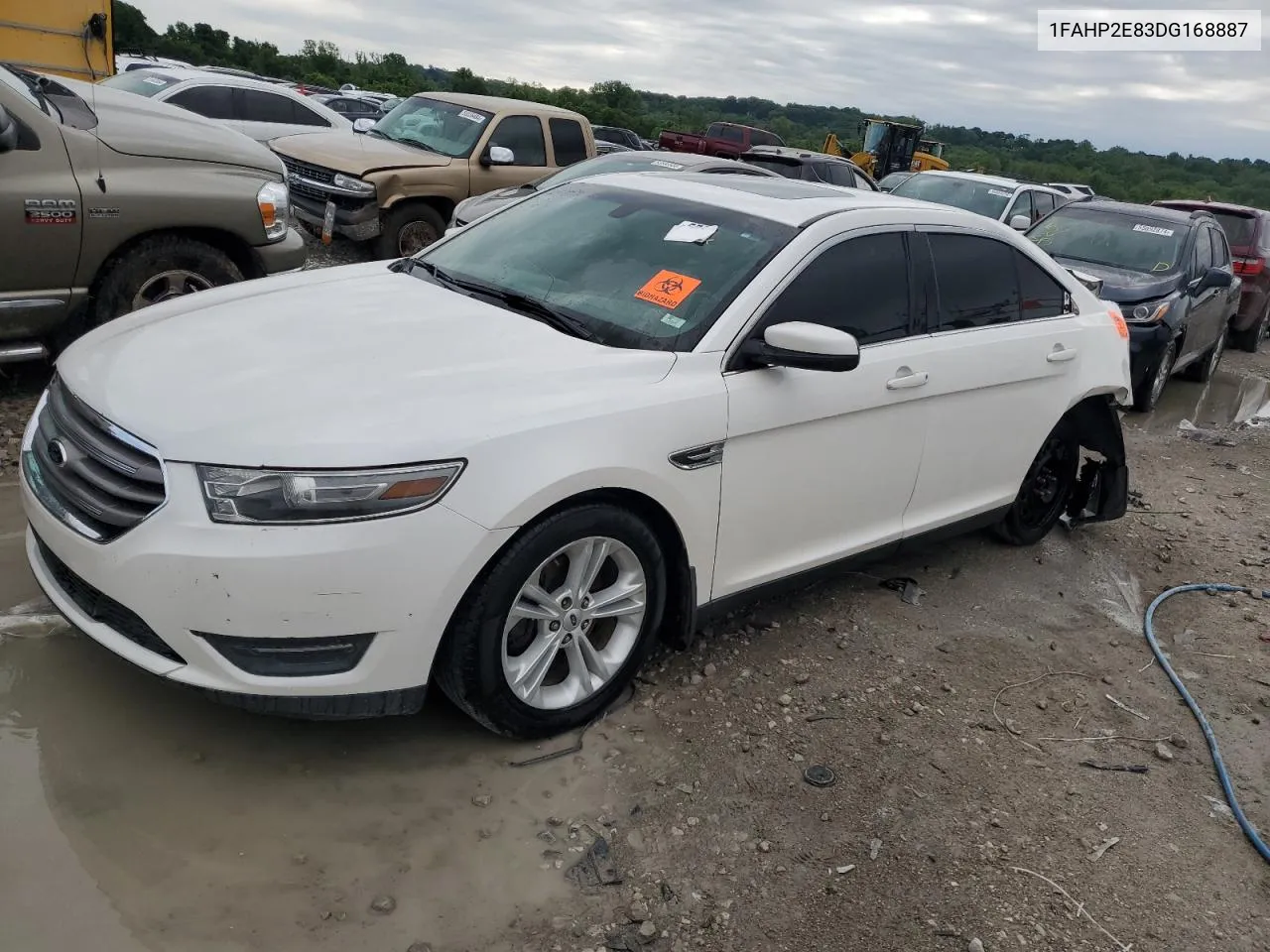 2013 Ford Taurus Sel VIN: 1FAHP2E83DG168887 Lot: 55809684