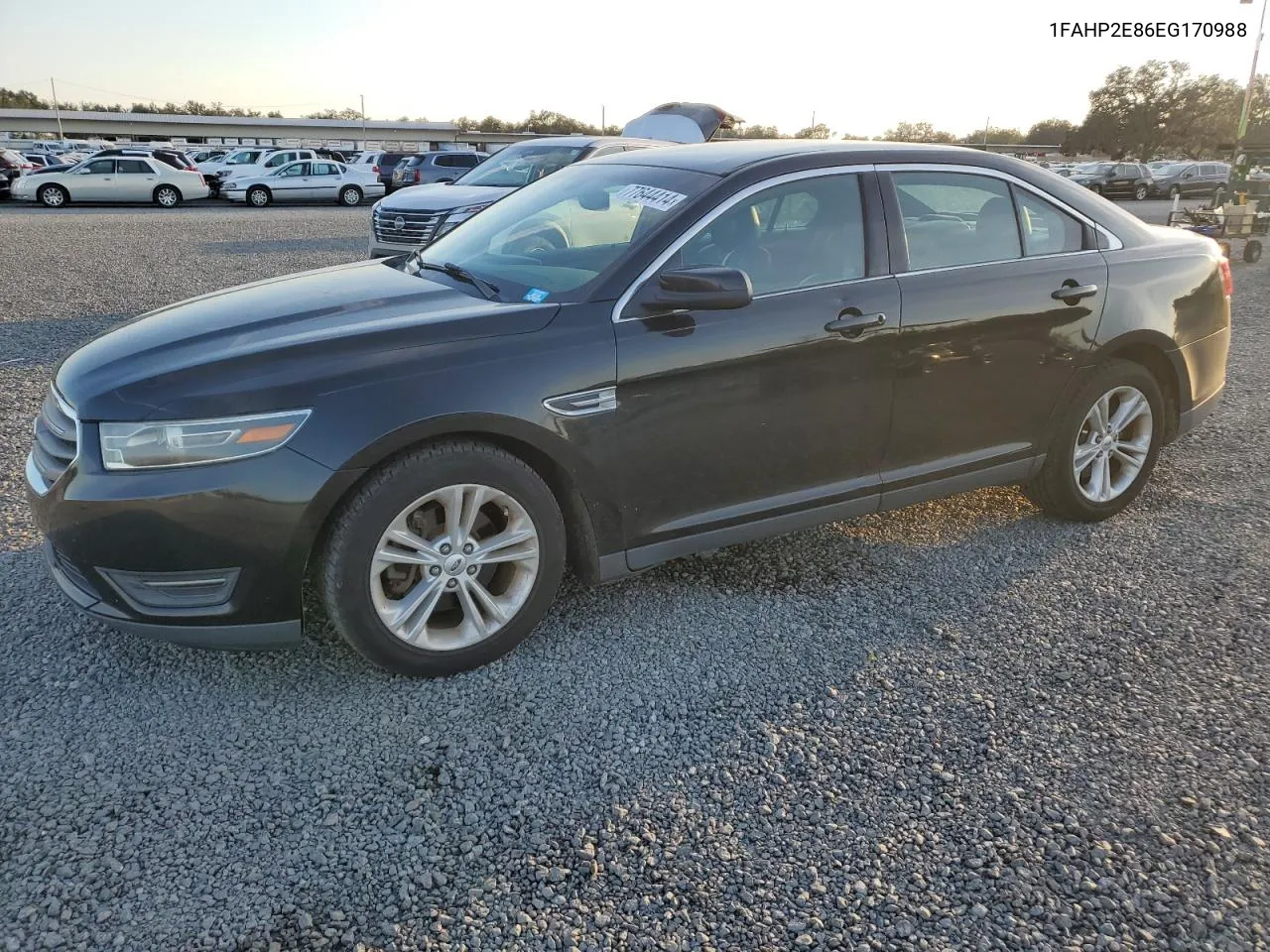 2014 Ford Taurus Sel VIN: 1FAHP2E86EG170988 Lot: 77644414