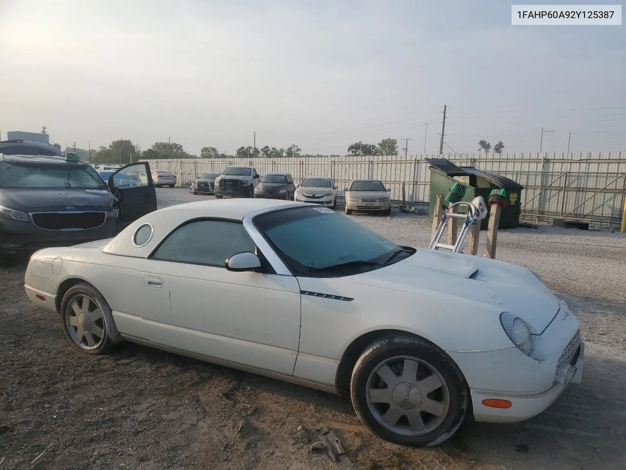 2002 Ford Thunderbird VIN: 1FAHP60A92Y125387 Lot: 69655244