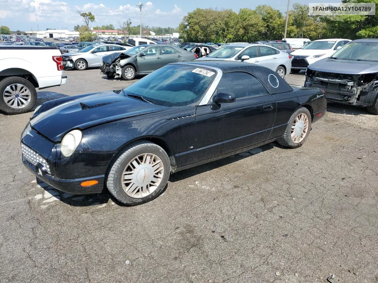 2002 Ford Thunderbird VIN: 1FAHP60A12Y104789 Lot: 70710474