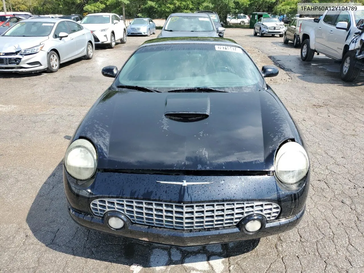 2002 Ford Thunderbird VIN: 1FAHP60A12Y104789 Lot: 70710474