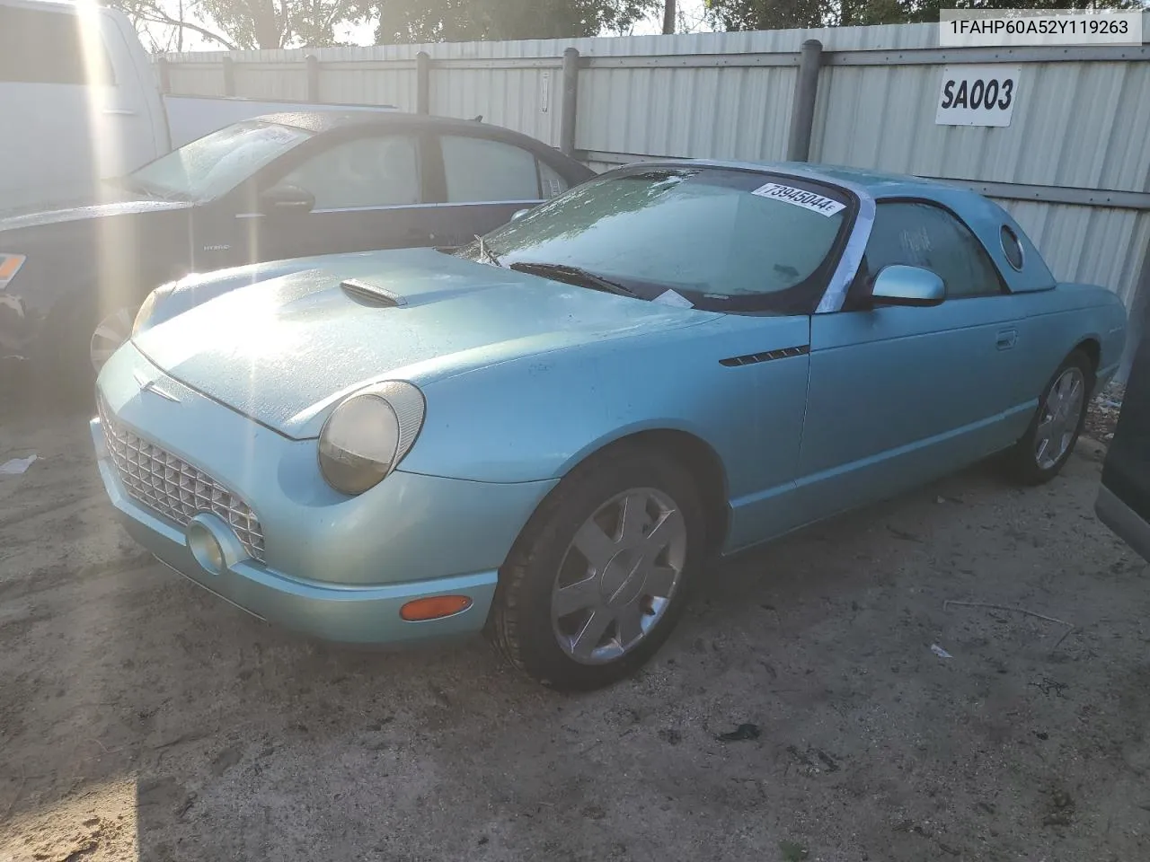 2002 Ford Thunderbird VIN: 1FAHP60A52Y119263 Lot: 73945044