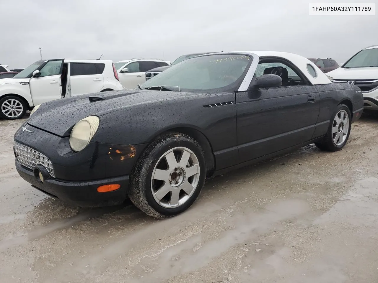 2002 Ford Thunderbird VIN: 1FAHP60A32Y111789 Lot: 74449054