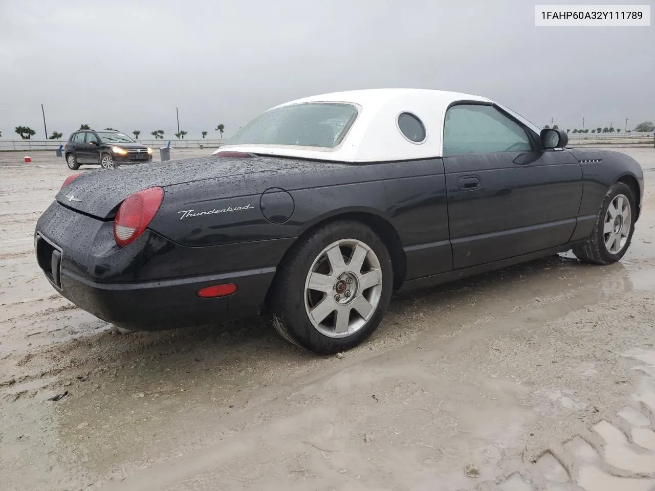 2002 Ford Thunderbird VIN: 1FAHP60A32Y111789 Lot: 74449054