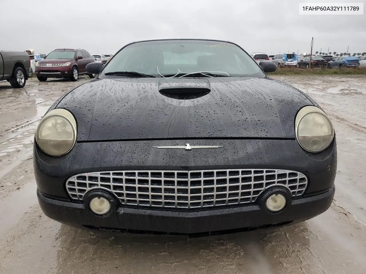 2002 Ford Thunderbird VIN: 1FAHP60A32Y111789 Lot: 74449054