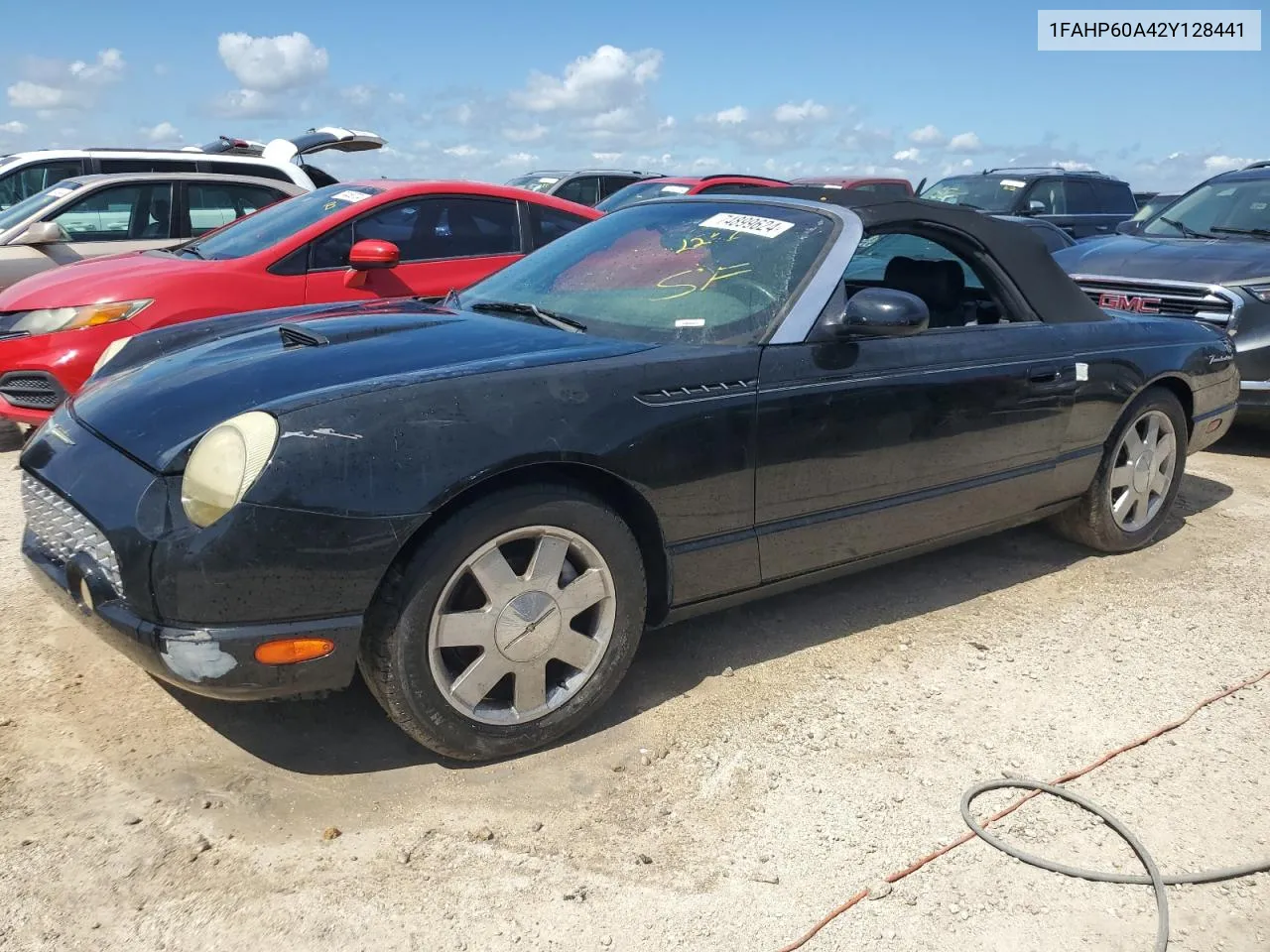 2002 Ford Thunderbird VIN: 1FAHP60A42Y128441 Lot: 74899624