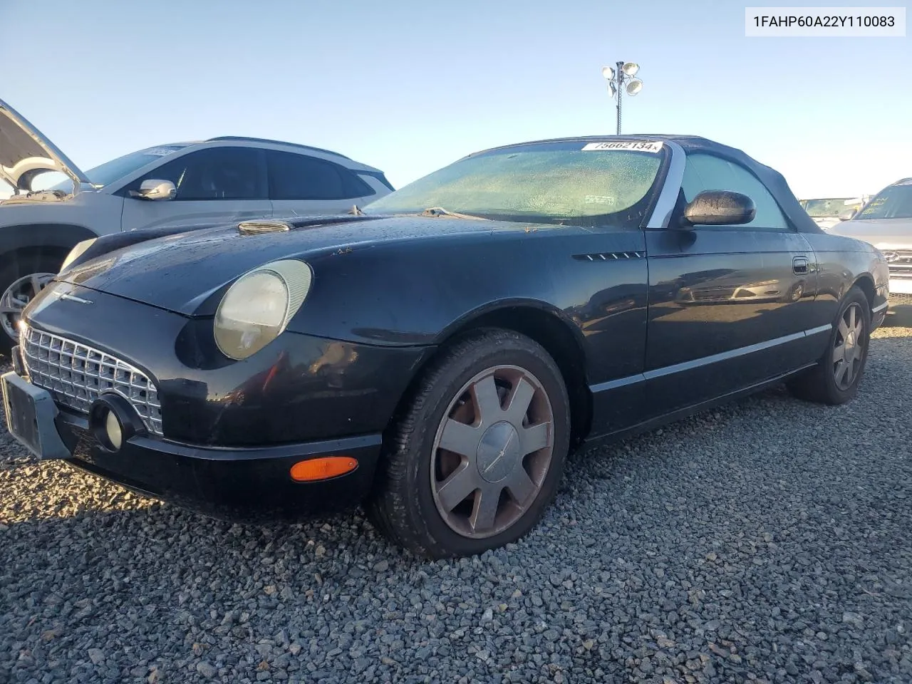 2002 Ford Thunderbird VIN: 1FAHP60A22Y110083 Lot: 75662134