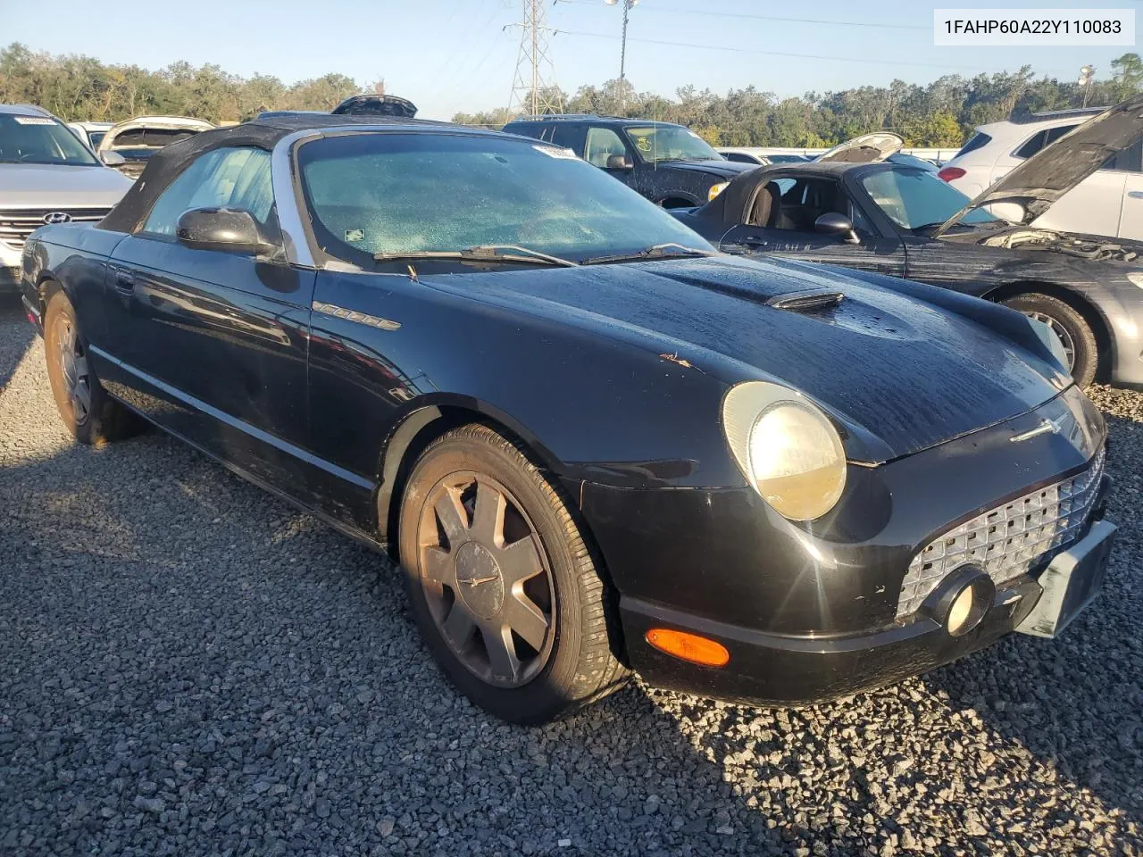 2002 Ford Thunderbird VIN: 1FAHP60A22Y110083 Lot: 75662134