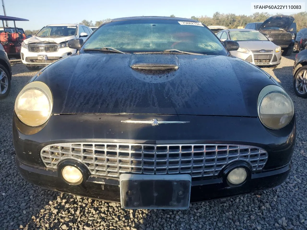 2002 Ford Thunderbird VIN: 1FAHP60A22Y110083 Lot: 75662134