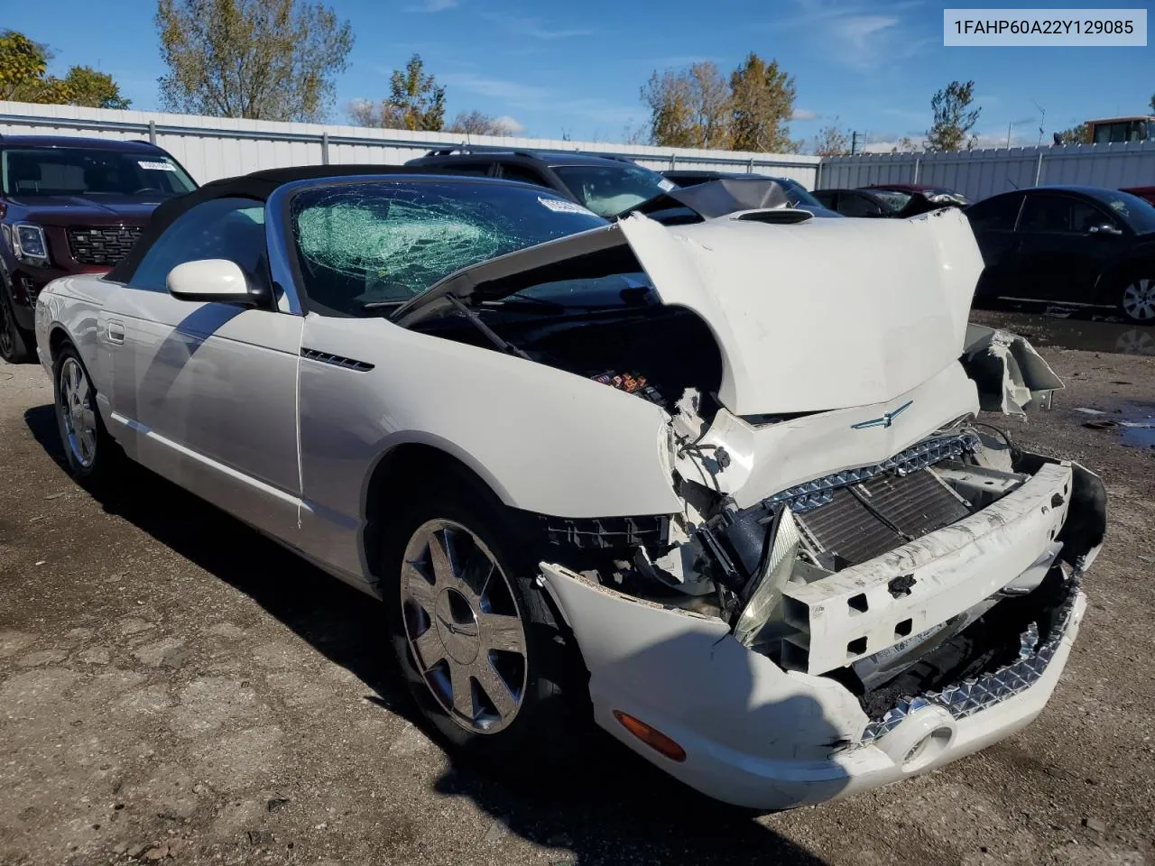 2002 Ford Thunderbird VIN: 1FAHP60A22Y129085 Lot: 76359874