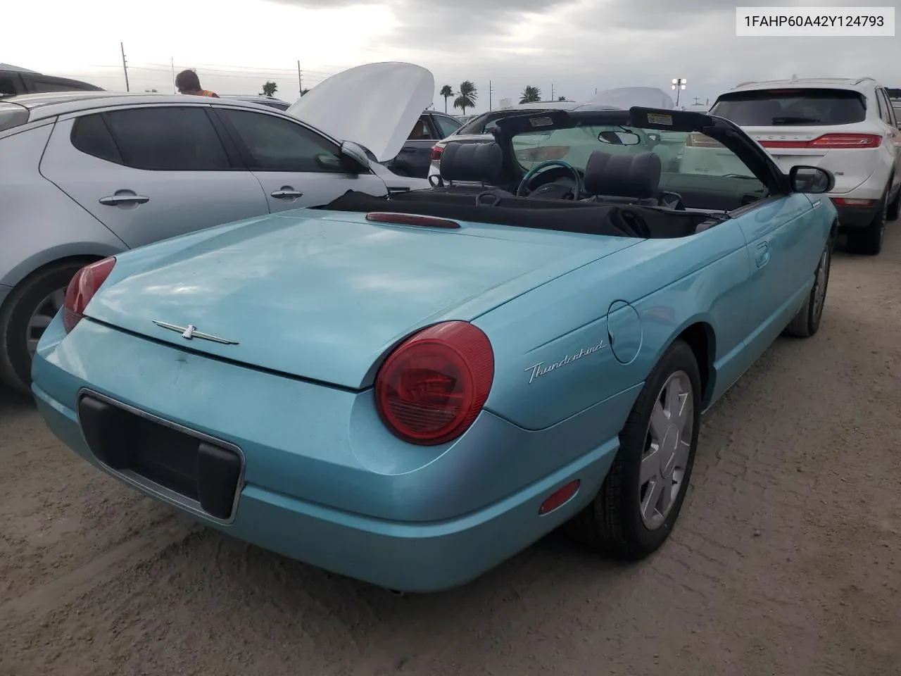 2002 Ford Thunderbird VIN: 1FAHP60A42Y124793 Lot: 76804554