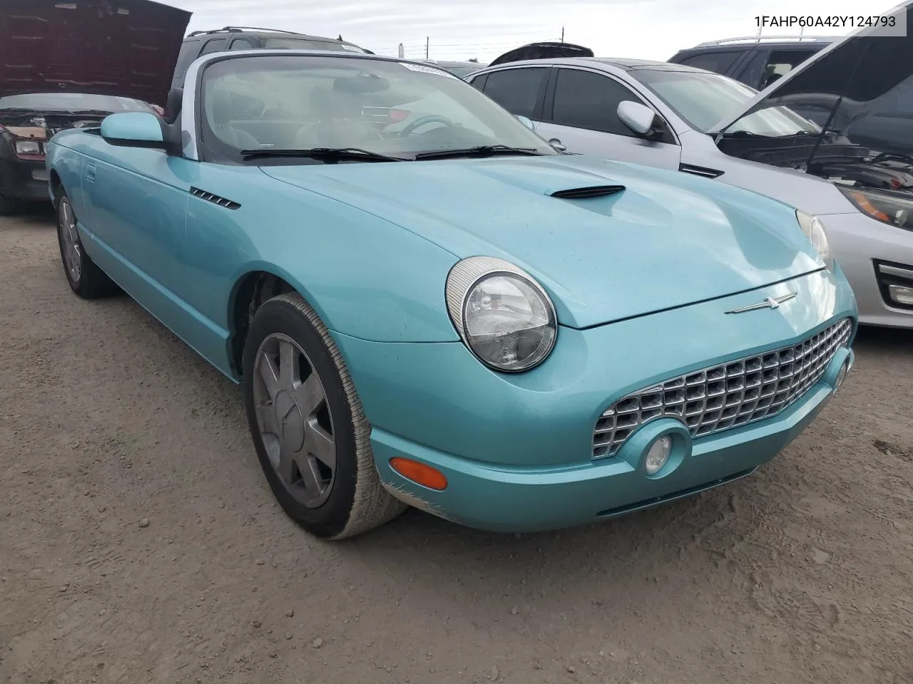 2002 Ford Thunderbird VIN: 1FAHP60A42Y124793 Lot: 76804554