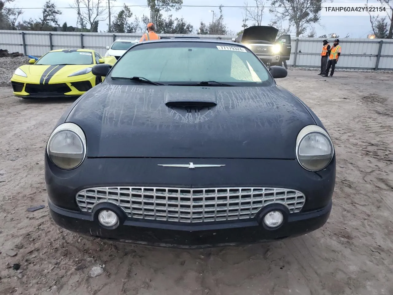 2002 Ford Thunderbird VIN: 1FAHP60A42Y122154 Lot: 77179324