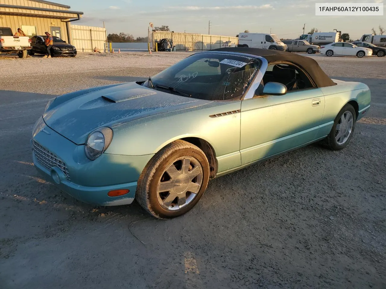 2002 Ford Thunderbird VIN: 1FAHP60A12Y100435 Lot: 77803704