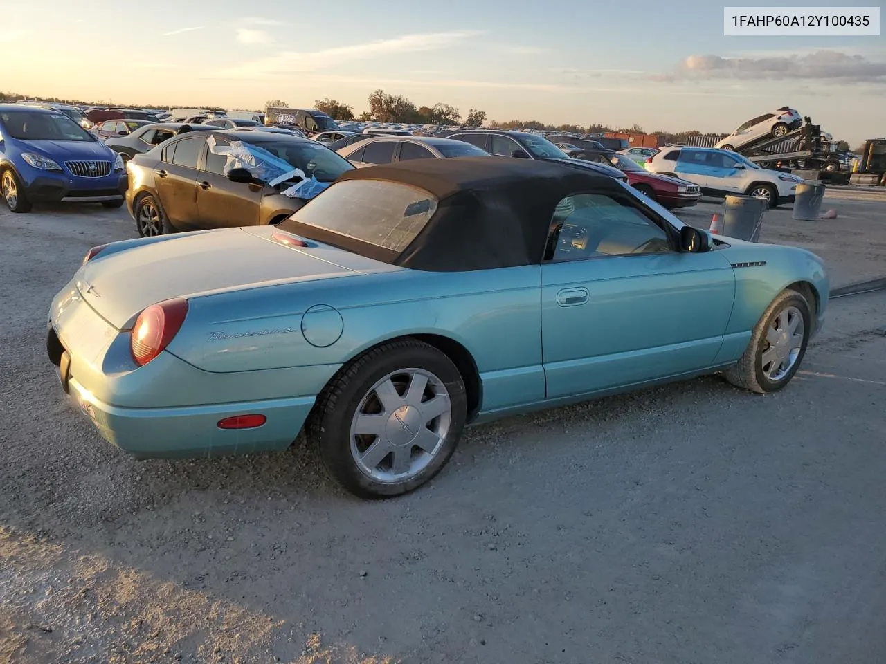 2002 Ford Thunderbird VIN: 1FAHP60A12Y100435 Lot: 77803704