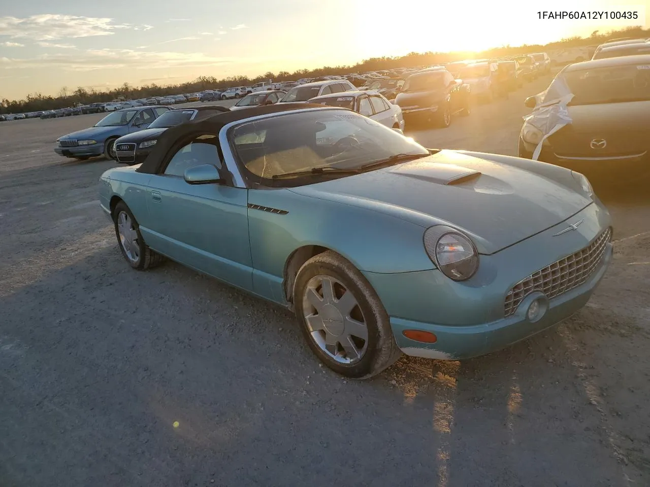 2002 Ford Thunderbird VIN: 1FAHP60A12Y100435 Lot: 77803704